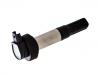 катушка зажигания Ignition Coil:12 13 8 523 972